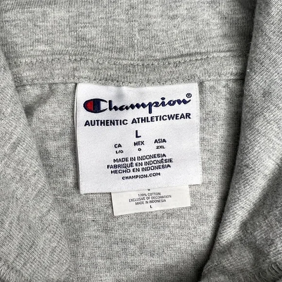Champion Mens Middleweight T-Shirt Hoodie, Oxford Gray, Size L - Picture 2 of 9
